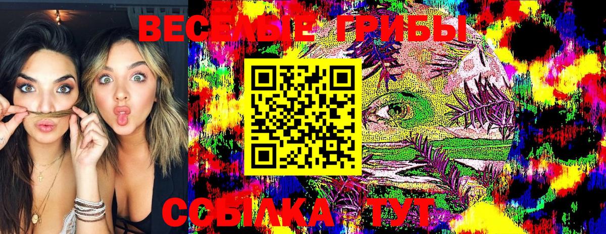 Галлюциногенные грибы Psilocybine cubensis Снежинск